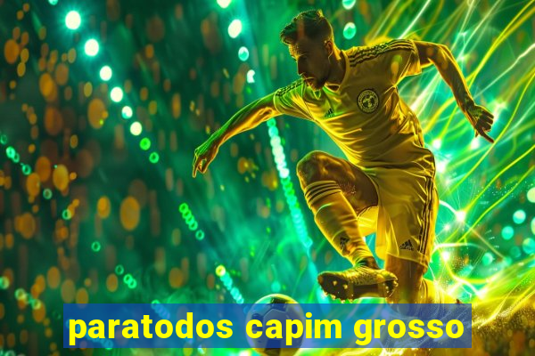 paratodos capim grosso